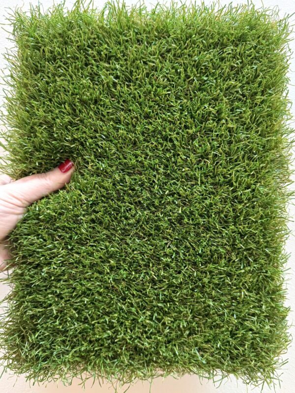 Allure Royal Grass® Allure - 36mm
